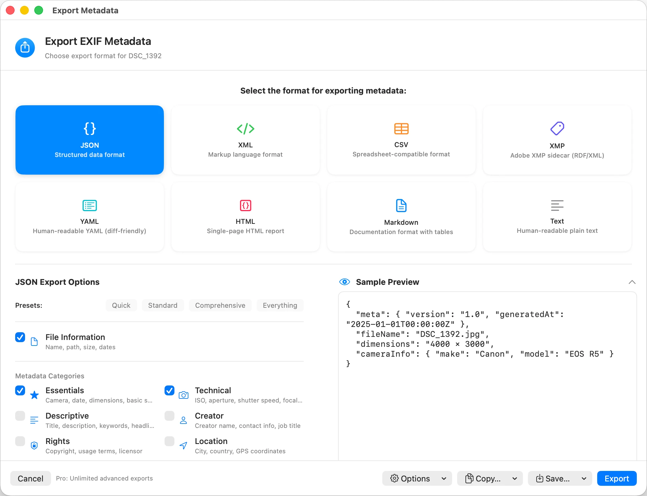 Metadata export wizard with format selection, field presets, and branding options