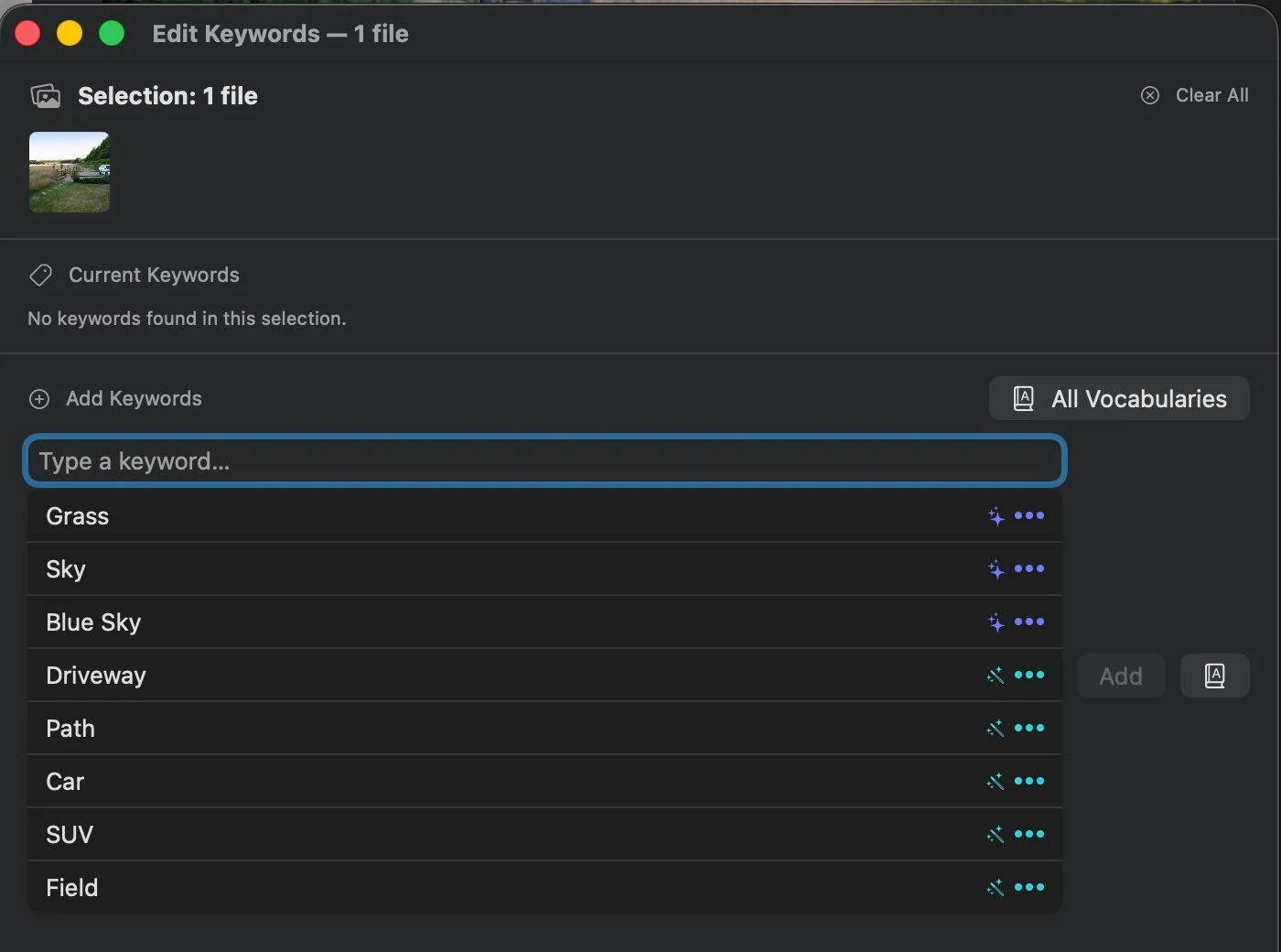 MetaScope keyword suggestions showing Vision matches with a purple sparkle and Enhanced Recognition matches with a teal wand, side by side in the Edit Keywords window
