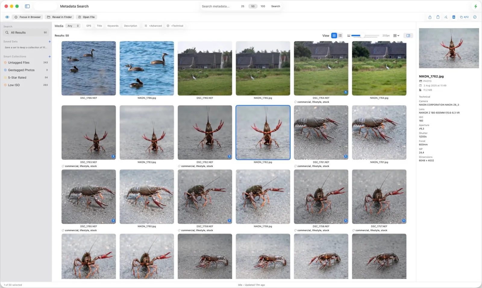 MetaScope Integrated Metadata Search with browser-native filter overlay, progressive density, and relevance cues