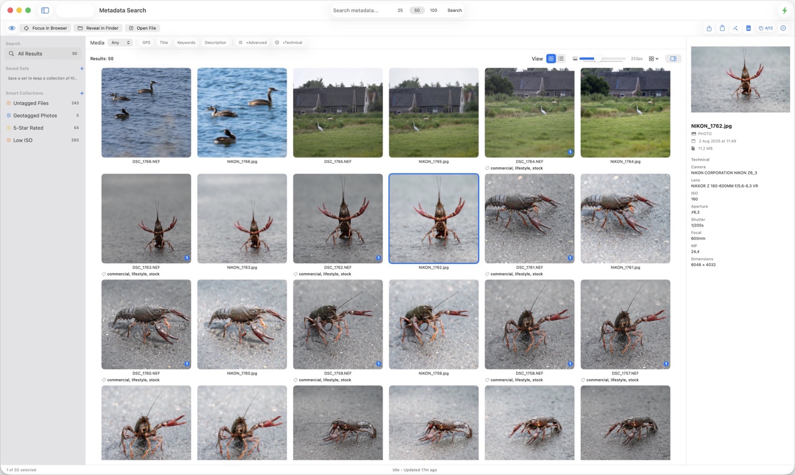 MetaScope Integrated Metadata Search with browser-native filter overlay, progressive density, and relevance cues
