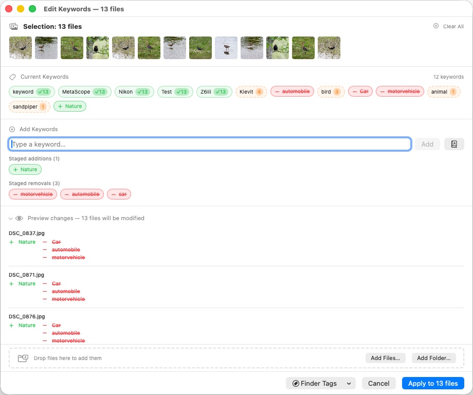 MetaScope Batch Keyword Editor showing multi-file keyword editing with vocabulary autocomplete, synonym badges, and keyword distribution across selected files