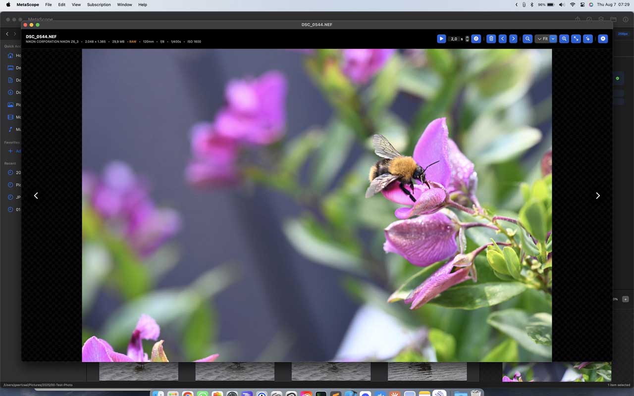 RAW file metadata support in MetaScope - CR2, NEF, ARW formats